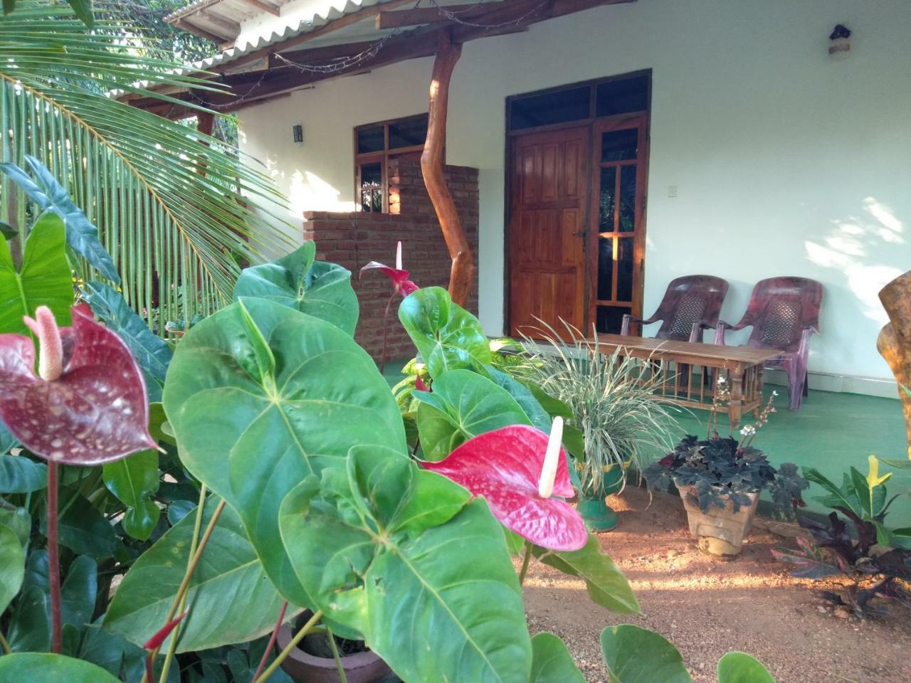 Amaya River Side Homestay Sigiriya Exterior foto